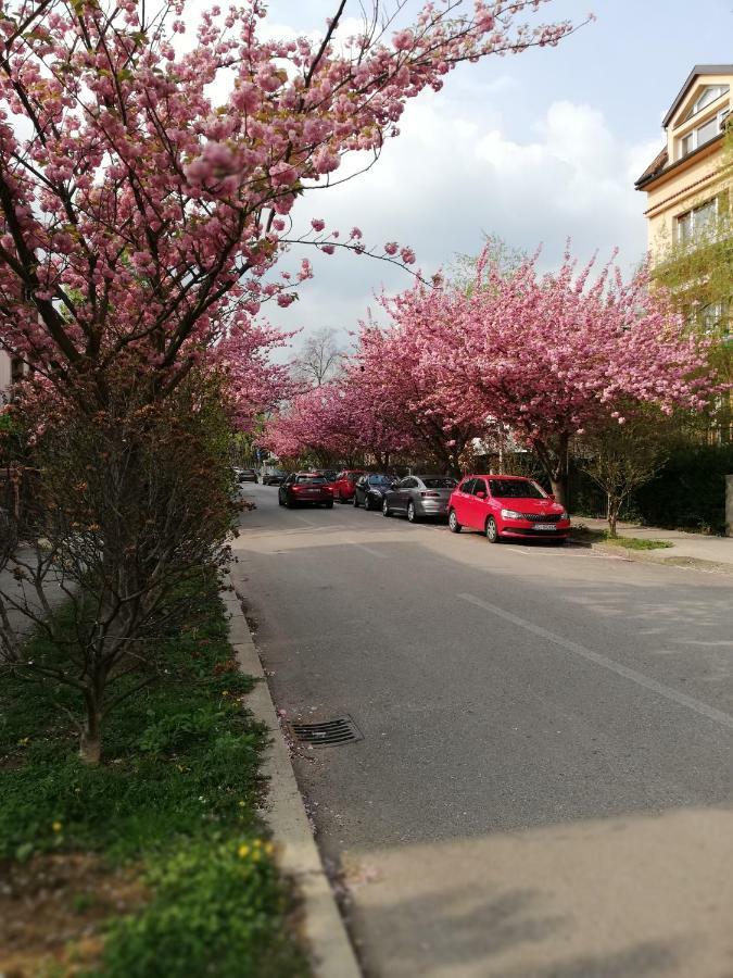 Irena'S Home Away From Home Zagreb Bagian luar foto